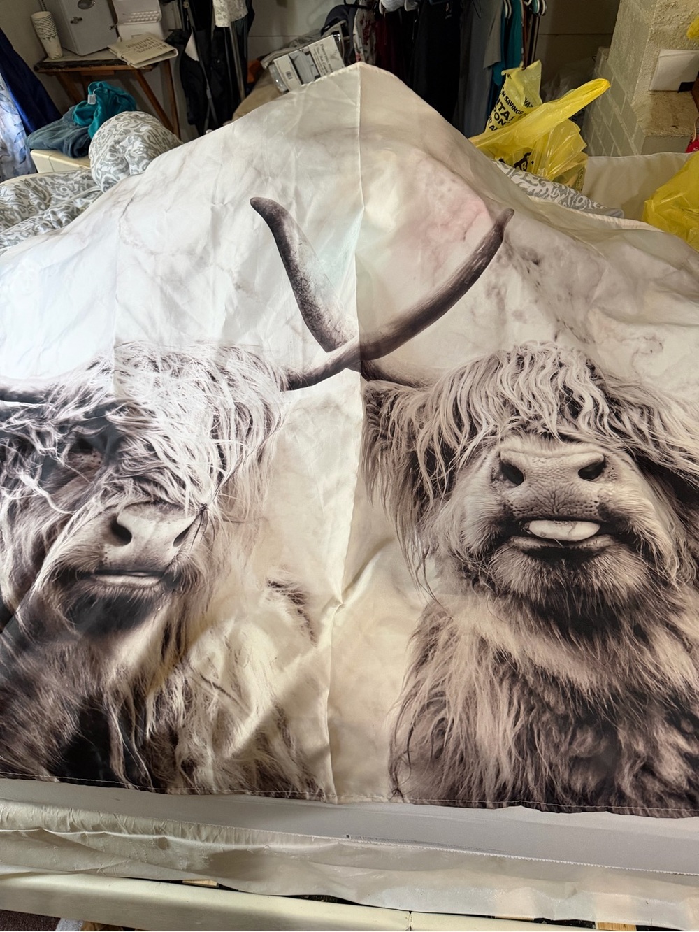 Highland Cow Printed Banner
